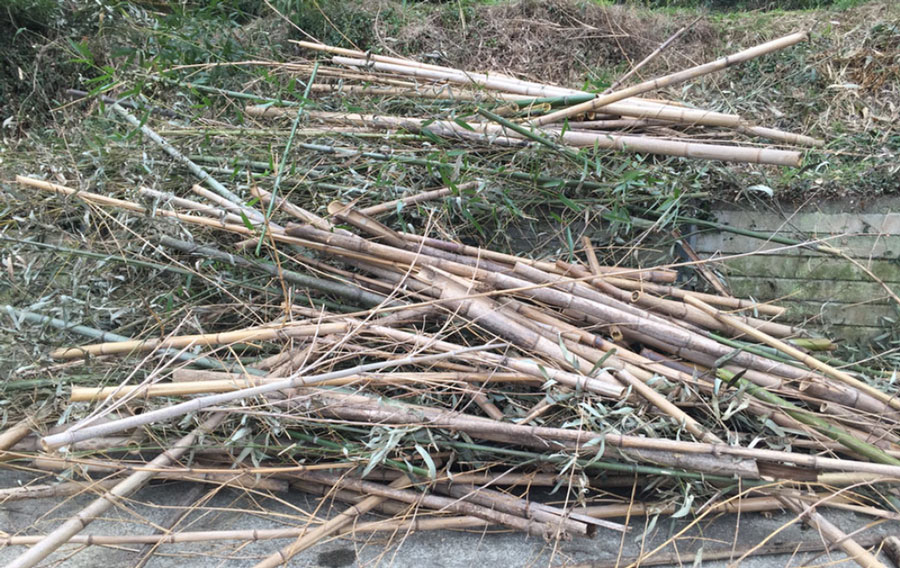 無煙炭化機を使った竹炭づくりの様子の写真3