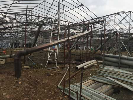 竹炭つくりの写真3