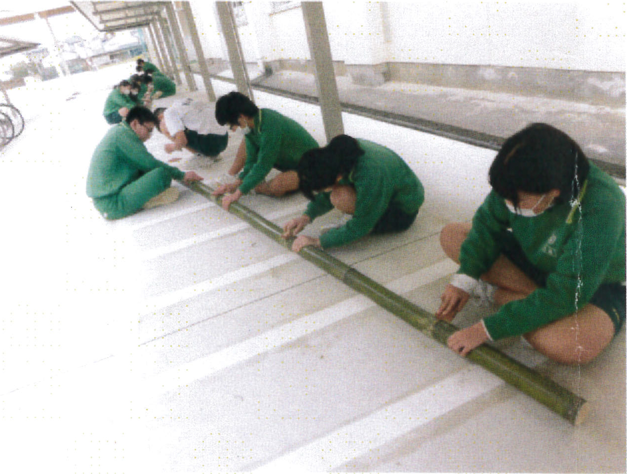 生徒たちの活動写真